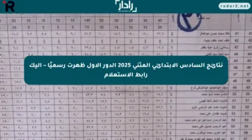 نتائج السادس الابتدائي المثنى 2025 الدور الأول ظهرت رسميًا – إليك رابط الاستعلام